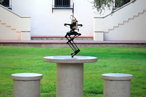 Robot Leonardo.