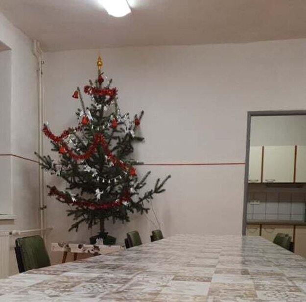 Takýto stromček majú v službe žiarski hasiči.