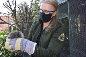 O ježa sa starala environmentalistka Anna Macková. 