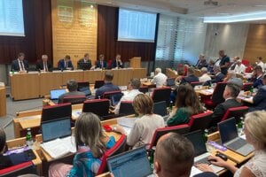 Zastupiteľstvo PSK vyzýva ministerstvo kultúry, aby vrátilo bustu do Levoče.