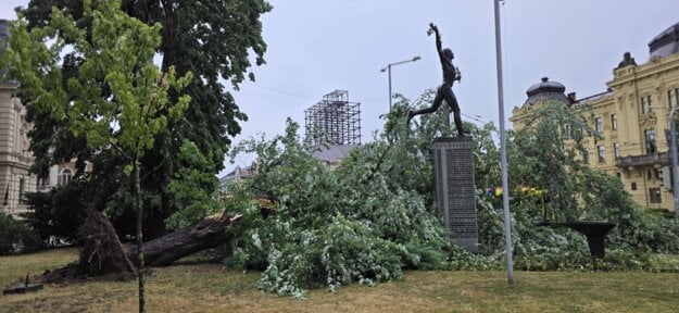 Strom spadol aj na Námestí Maratónu mieru. (zdroj: Danka Šlosárová)