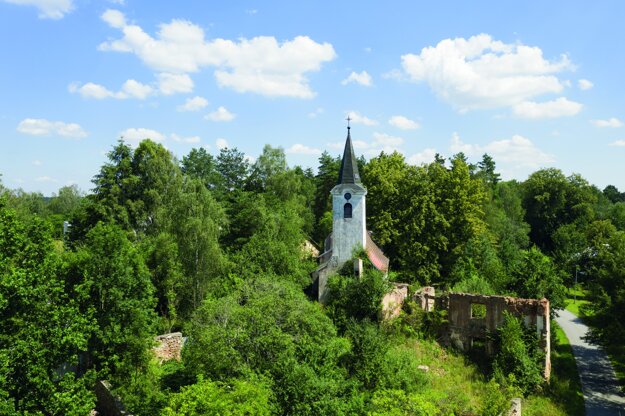 Krabonoš (zdroj: Miroslav Adamec)
