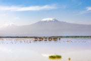 Národný park Amboseli
