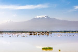 Národný park Amboseli