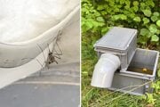 Z odchytovej stanice na komáre v Dolnom Kubíne zmizla batéria, ktorá umožňovala zariadeniu fungovať nepretržite. 