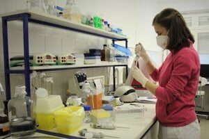 Biochemik Škultéty o Q horúčke: Vôbec nevieme, aká je reálna situácia s jej šírením