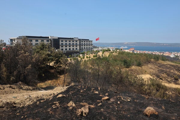 Spálená oblasť po lesnom požiari v Canakkale.