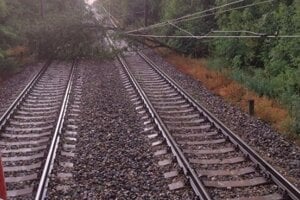 Padnutý strom na trati medzi Gbelcami a Mužlou.