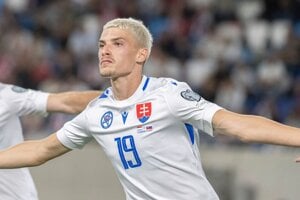 Namiesto babráka je hrdina. Je to najväčší klenot, budúci šéf Slovenska, tvrdil expert