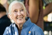 Jane Goodallová.