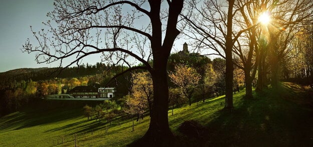 Historický ovocný sad Castle Distillery pod Ľubovnianskym hradom