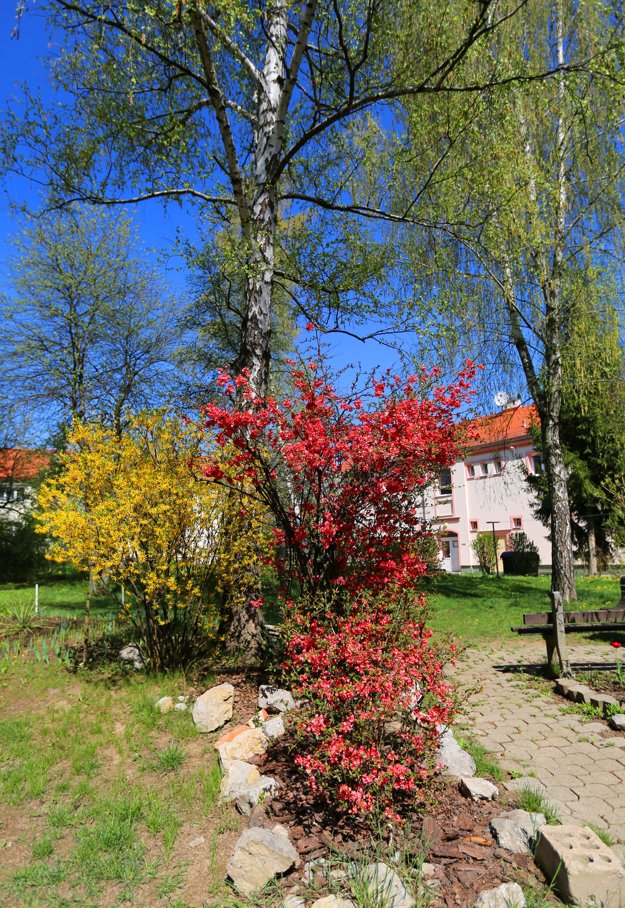  (zdroj: TASR/ Branislav Račko)