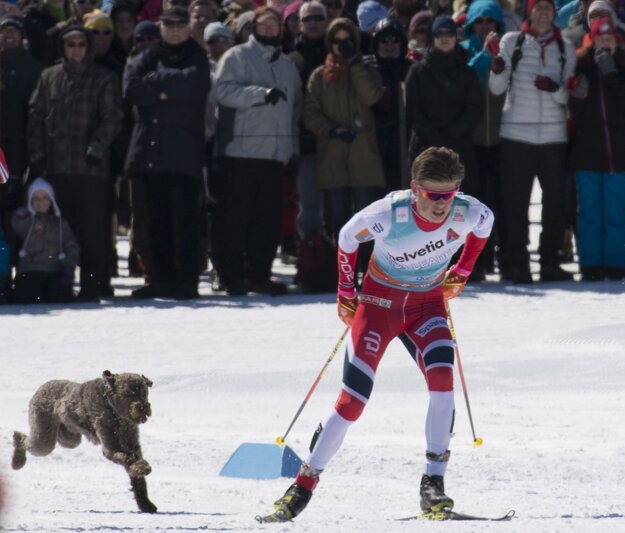 Aj takúto momentku pre víťaza ponúkli posledné preteky sezóny.