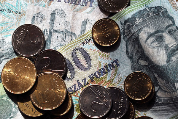 Iba 38 percent Maďarov podporuje zavedenie eura
