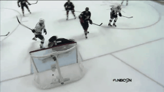 gaborik_17_5.gif gaborik_17_5.gif