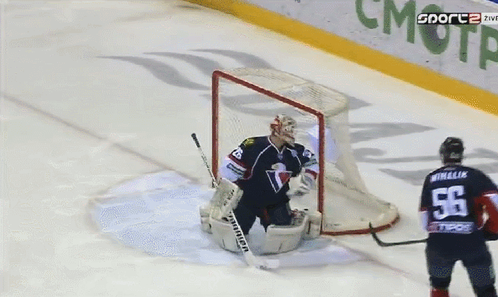 sallinen.gif sallinen.gif