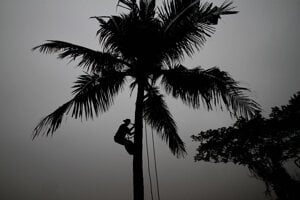Ilustračná fotografia.