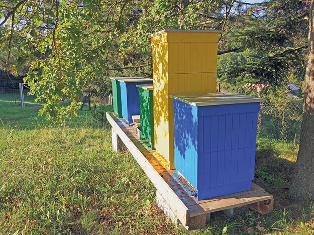 Včielky z týchto krásnych úľov pomáhajú opeľovať čučoriedkovú plantáž Čučky.sk v obci Pitelová.
