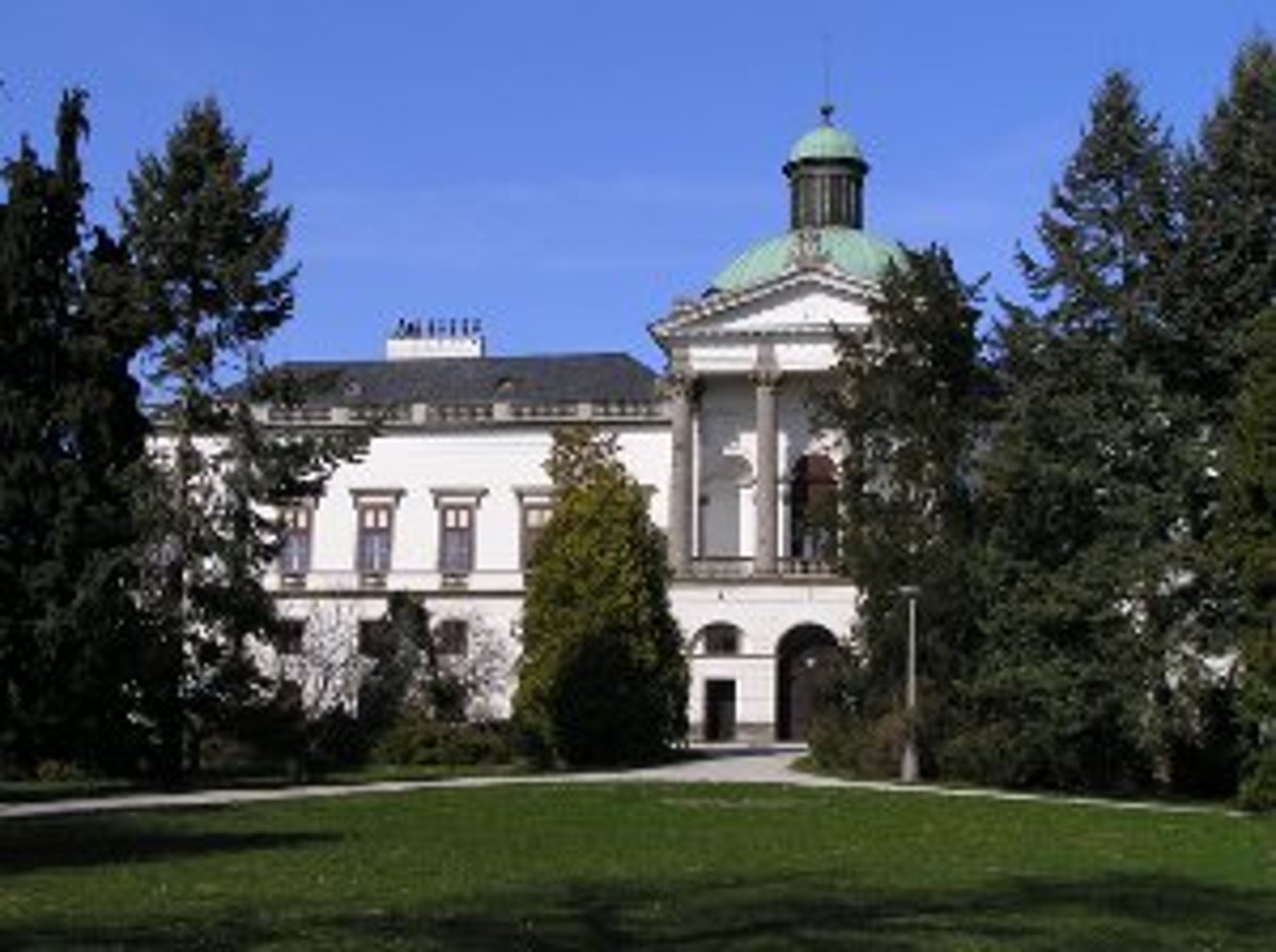 Krásne tmavé somáre
