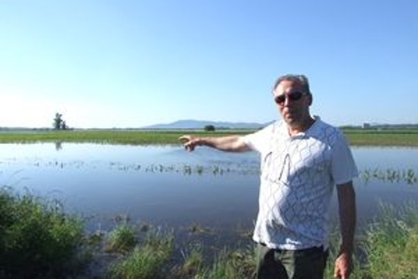 Dušan Janovič pred poľom vo Veľkom Cetíne. Plávajú na ňom ryby. Rybári ich odchytia, až keď klesne voda.