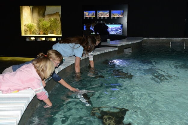 ZOO Zlín, zátoka rají (zdroj: archiv CCRVM)