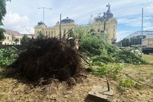 Za známou sochou maratónca sa vyvrátil strom aj s koreňmi.