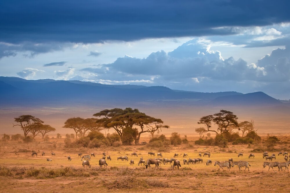 Národný park Tsavo (zdroj: Adobe Stock)