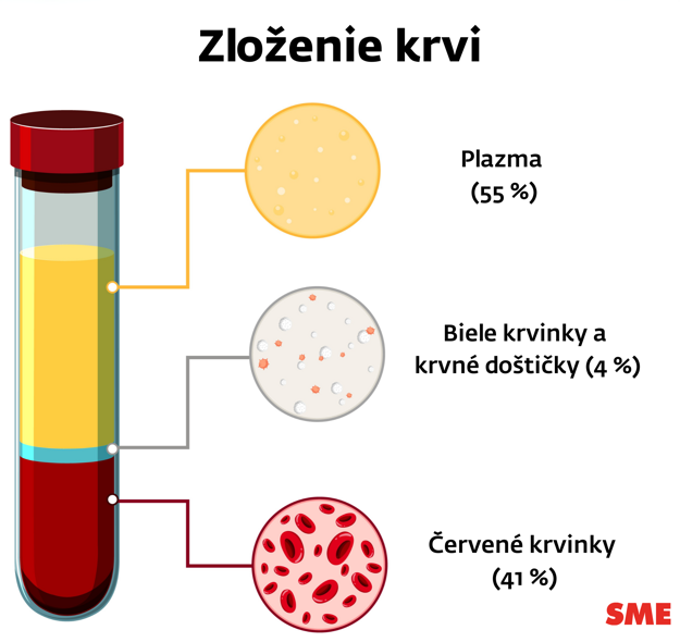 Krv sa skladá z tekutej a pevnej zložky, ktoré by mali byť v rovnováhe. (zdroj: Freepik/ SME)