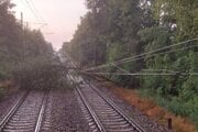 Spadnutý strom na trati medzi Mužlou a Gbelcami.