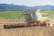 Žatva pšenice pri obci Kamenná Poruba v okrese Žilina. 