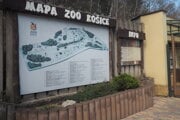 Zoo Košice je najväčšia v strednej Európe. Z 288 hektárov je 32 stále v rukách súkromných vlastníkov.