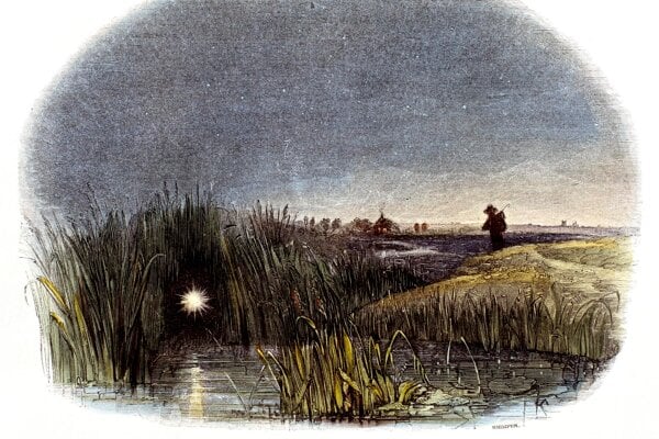 Ilustrácia a úryvok z knihy Prírodné fenomény (Phenomena of Nature) z roku 1849: Na močaristých a bažinatých miestach sa v noci niekedy objavuje svetlo, ktoré sa vznáša nad povrchom a z diaľky pripomína sviečku v okne chalupy. Svetlo je spôsobené vznietením horľavého plynu, ktorý vzniká rozkladom živočíšnych a rastlinných zvyškov v močiaroch, bažinách a stojatých vodách. Ukázalo sa, že keď sa vlhká pôda odvodní, bludička zmizne.