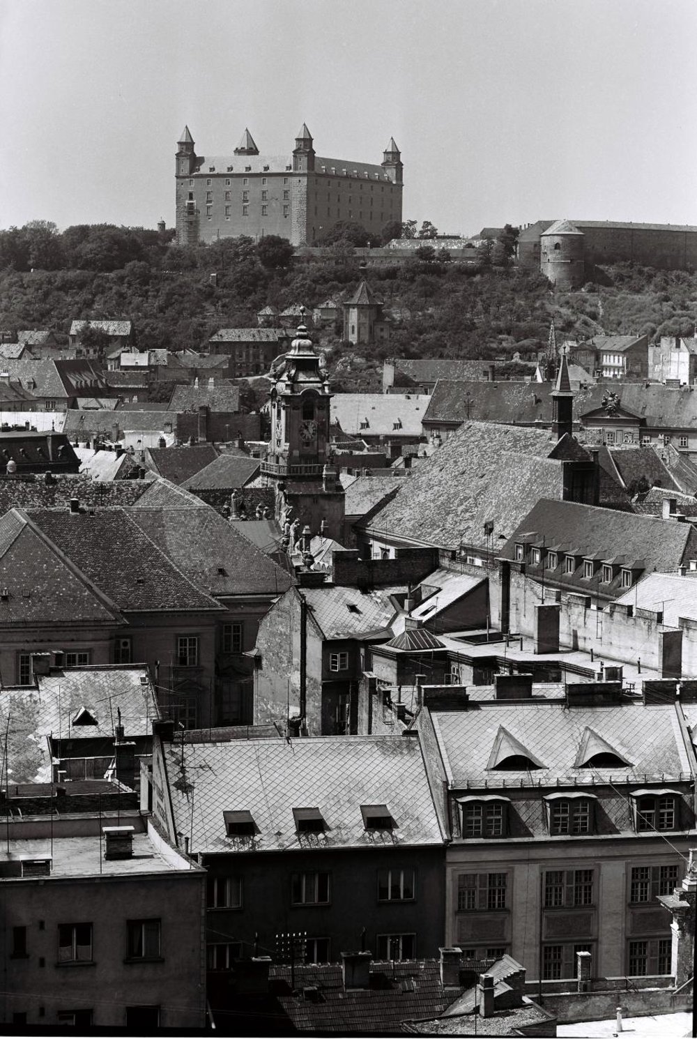article_photo