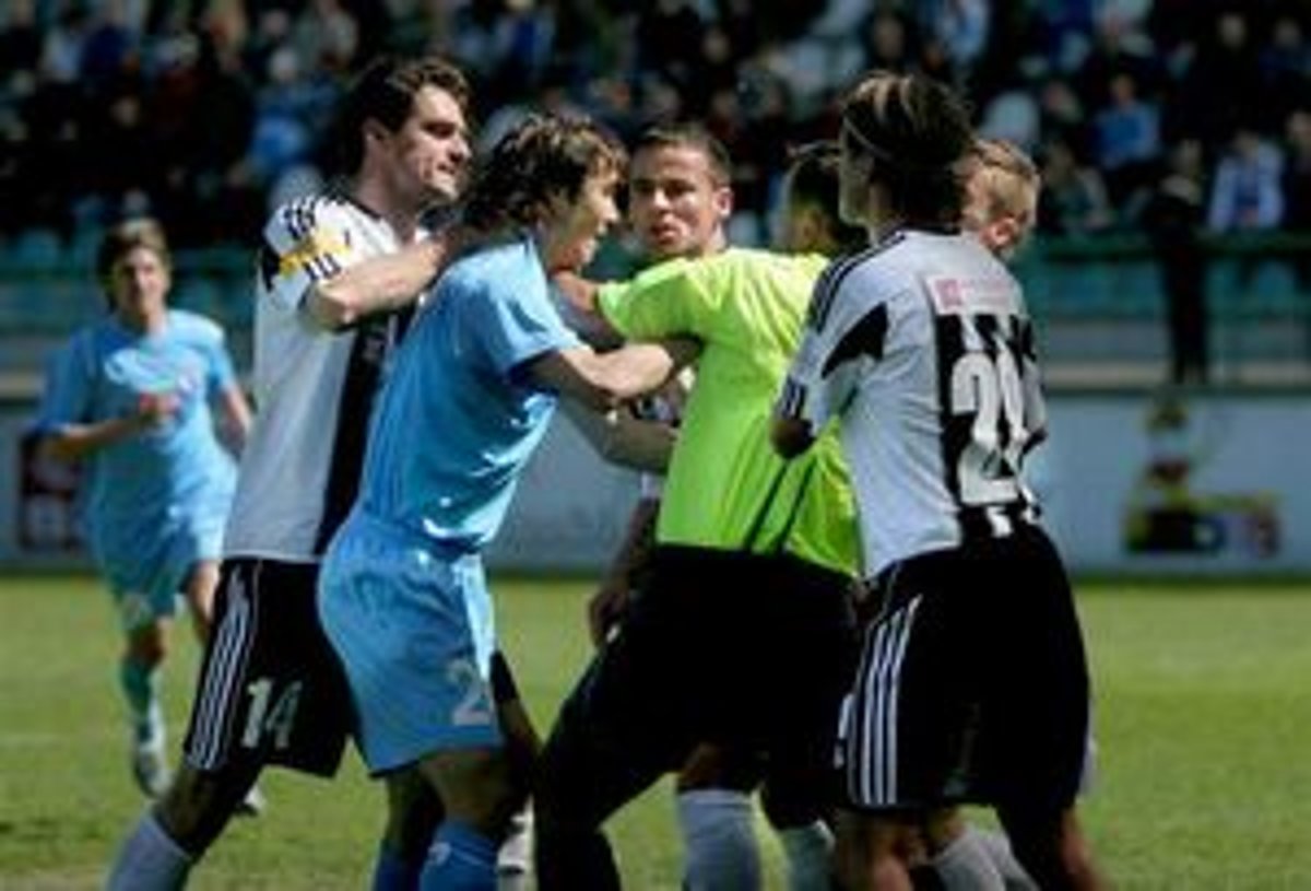 veľký čierny kohút a lopty veľký pekný kohúty