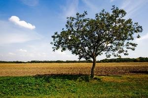 O predĺženie platnosti výnimky požiadalo Brusel aj Maďarsko. Naopak Česko obmedzenia pri predaji farmárskej pôdy fyzickým osobám nechá vypršať.