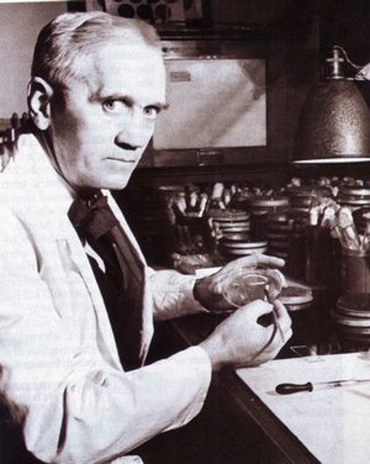a history of the invention of penicillin by alexander fleming In 1928, bacteriologist alexander fleming made a chance discovery from a contaminated experiment, he found a powerful antibiotic, penicillin. a history of the invention of penicillin by alexander fleming In 1928, bacteriologist alexander fleming made a chance discovery from a contaminated experiment, he found a powerful antibiotic, penicillin.