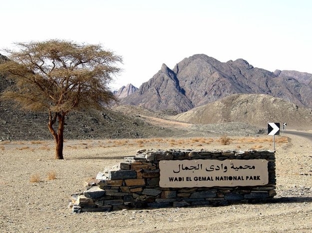Egypt: Národný park Wadi el Gemal na pobreží Červeného mora.