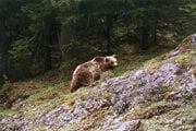 Ilustračné foto.