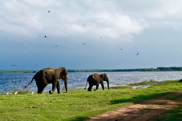 Srí Lanka