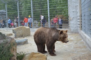 Spišskonovoveská zoo