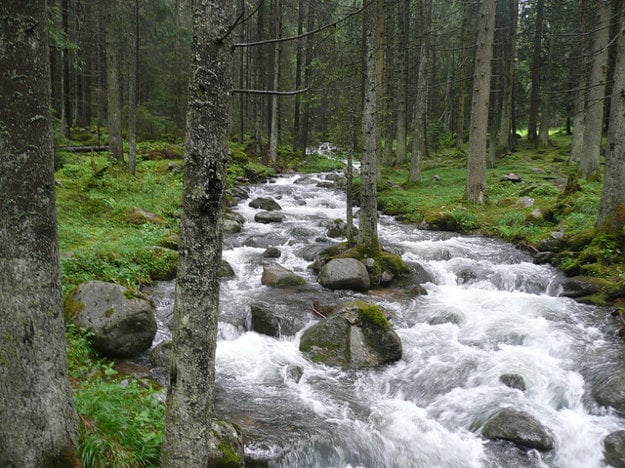 Demänovská dolina. (zdroj: flickr/cc/Adam Polák)
