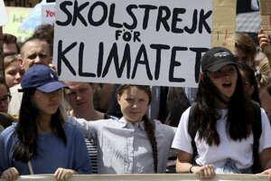 Mladá švédska environmentálna aktivistka Greta Thunbergová počas zhromaždenia študentov za ochranu klímy pod heslom Piatky za budúcnosť vo Viedni 31. mája 2019. 