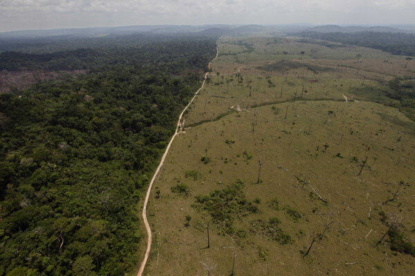 Deforestácia brazílskeho pralesa. 