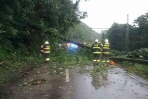 Na cestu  a železničnú trať v katastri Hronskej Dúbravy spadol strom. 