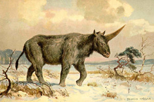 Umelecké stvárnenie druhu Elasmotherium od maliara prehistorických zvierat Heinricha Hardera.