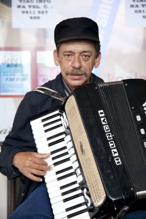 harmonikar1.jpg
