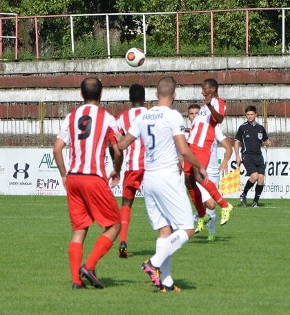 dsc_1208_r4817.jpg