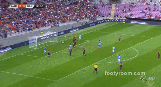 hamsik.gif