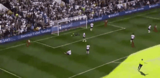 mor.gif mor.gif