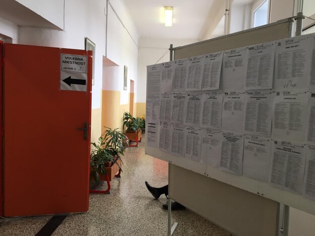 Voľby do NRSR 2020